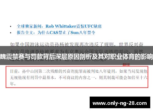 魏震禁赛与罚款背后深层原因剖析及其对职业体育的影响 魏震禁赛与罚款背后深层原因剖析及其对职业体育的影响