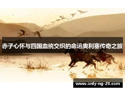 赤子心怀与四国血统交织的命运奥利塞传奇之旅