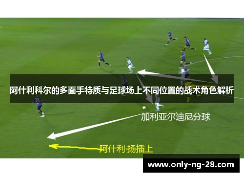 阿什利科尔的多面手特质与足球场上不同位置的战术角色解析